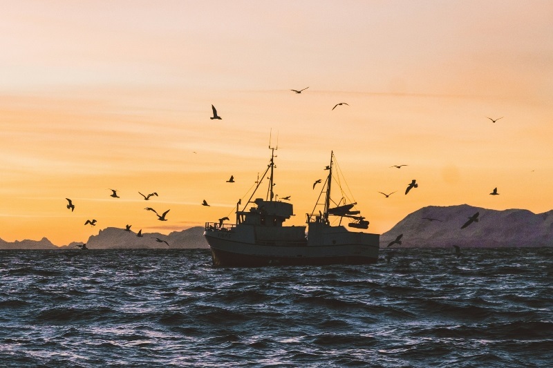 Andrew Jackson advises on acquisition of historic ocean fish group by Fortuna LTD