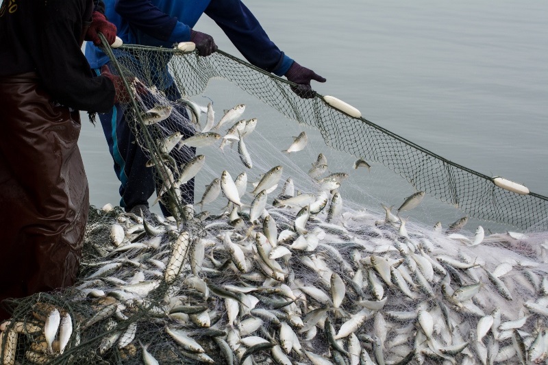 Growth for Andrew Marr International with acquisition of Seafish UK