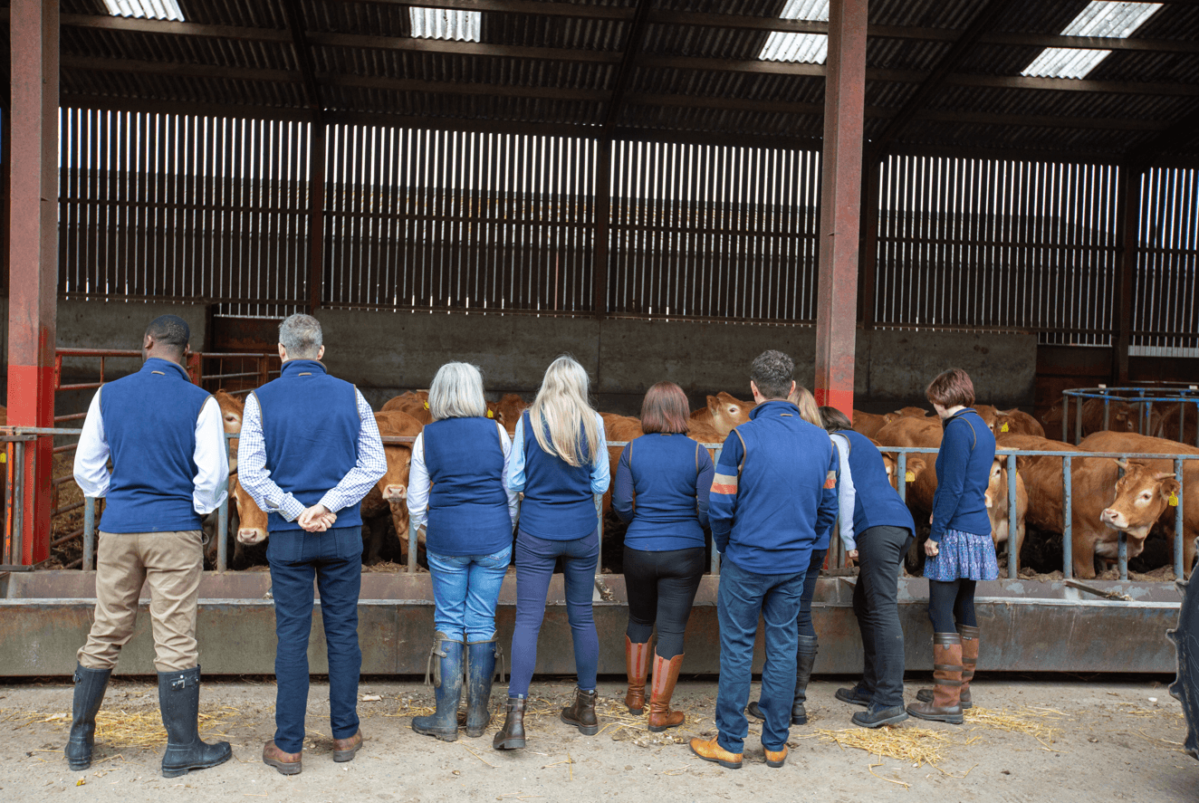 Saying goodbye to the agricultural show season for another year